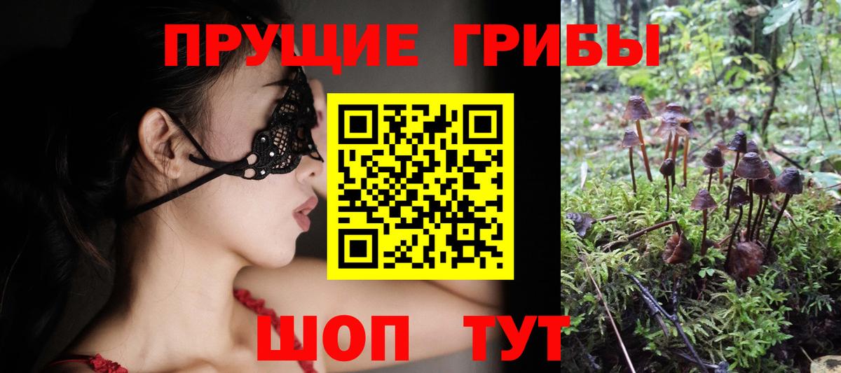 Галлюциногенные грибы Magic Shrooms Чистополь