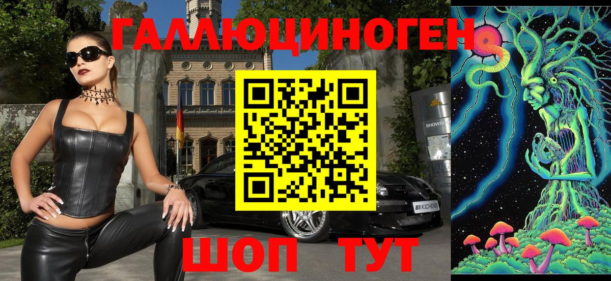 Псилоцибиновые грибы Psilocybe  Вход с VPN  Псилоцибиновые грибы прущие грибы  Чистополь 